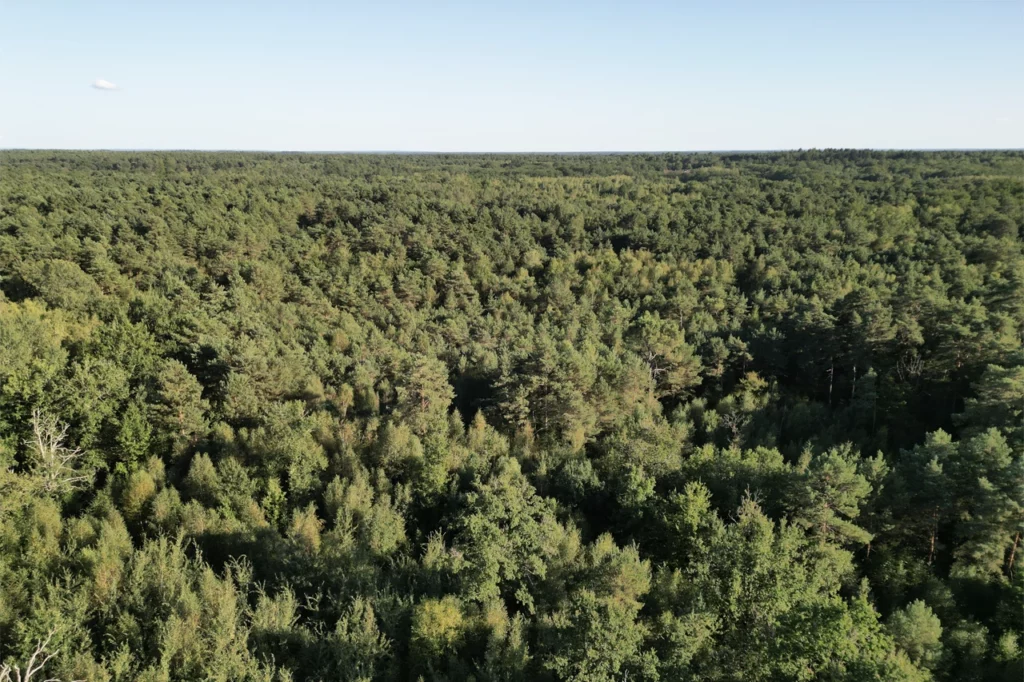 Vue aérienne d’une forêt en Sologne (France), prise par drone.
